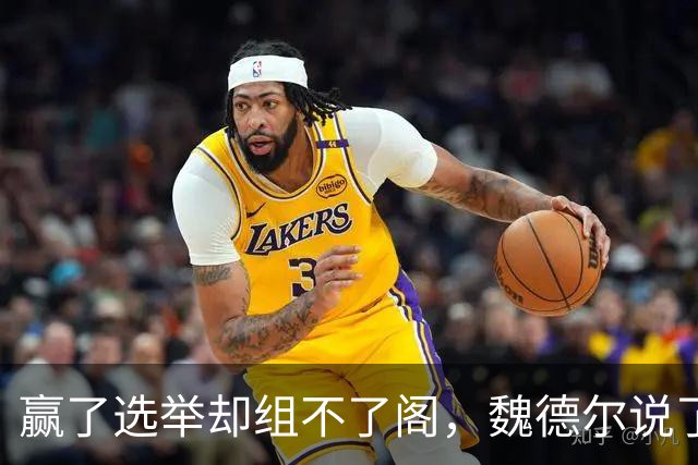 赢了选举却组不了阁，魏德尔说了实话：选择党执政后会这样干！
